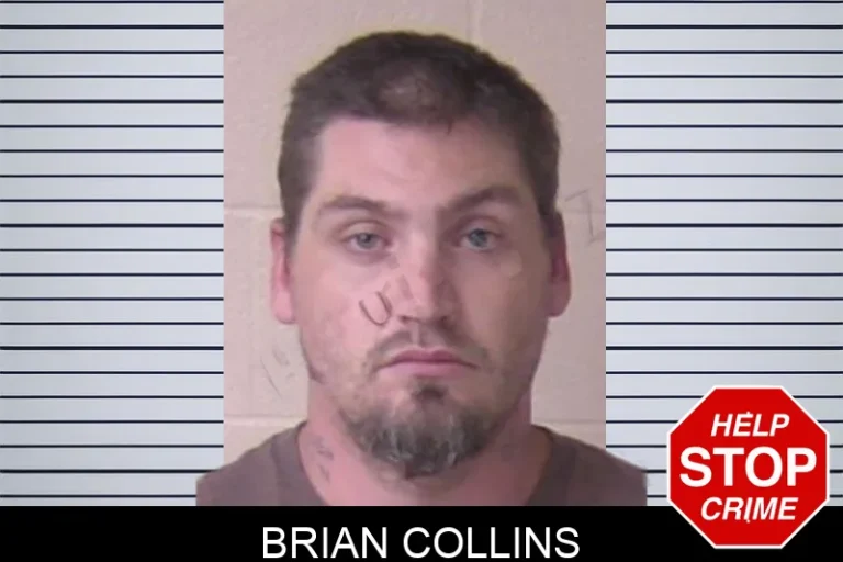 Brian Collins