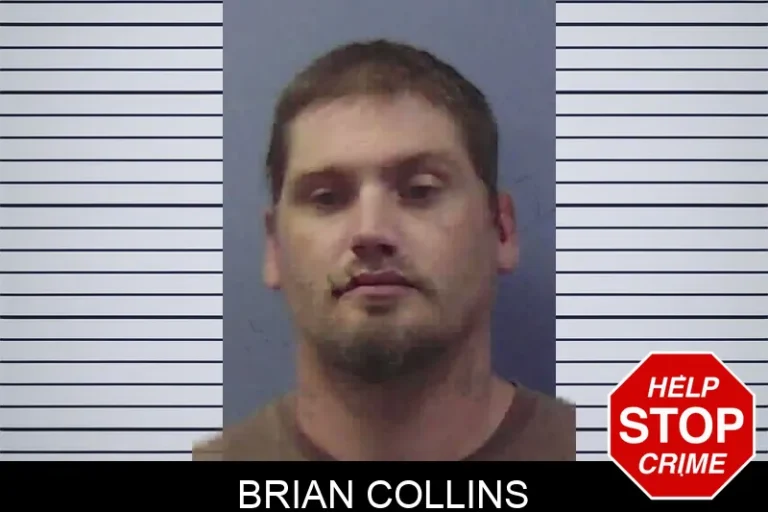 Brian Collins