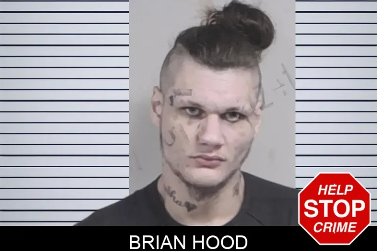 Brian Hood mugshot – Lowndes County , Georgia Brian Hood