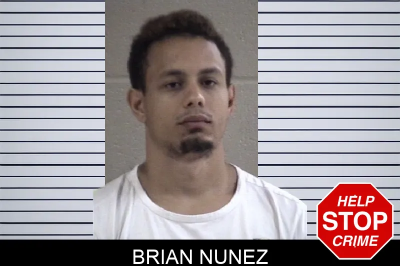 Brian Nunez Mugshots