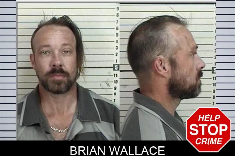 Brian Wallace