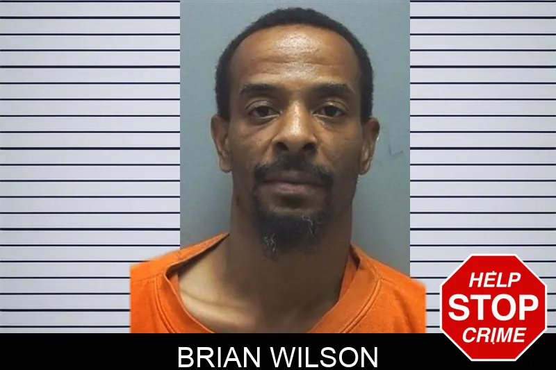 Brian Wilson Mugshots