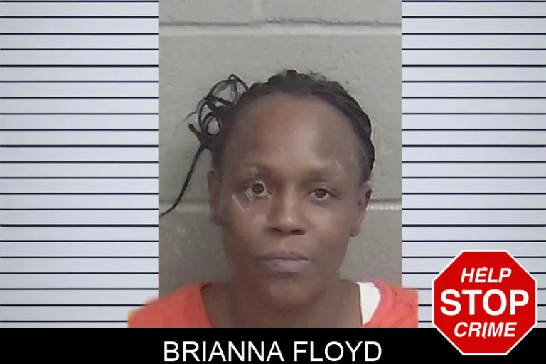 Brianna Floyd mugshot – Wayne County , Georgia Brianna Floyd