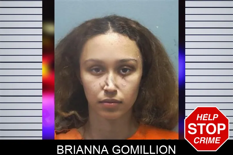 Brianna Gomillion mugshot – Cherokee County , Georgia Brianna Gomillion mugshot