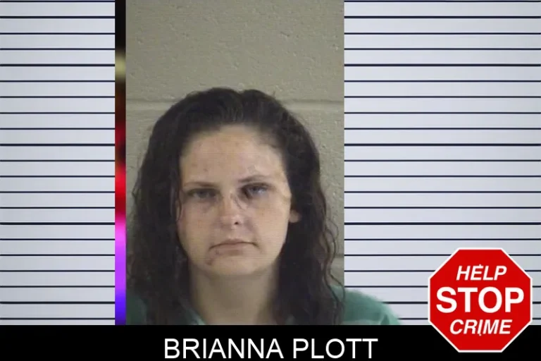 Brianna Plott mugshot – Whitfield County , Georgia Brianna Plott