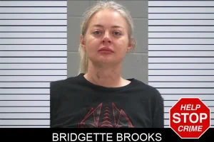 Bridgette Brooks mugshot