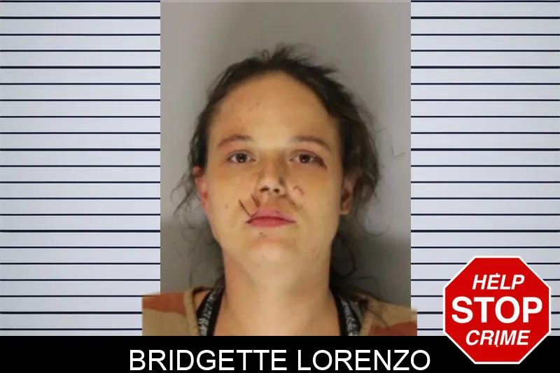 Bridgette Lorenzo mugshot