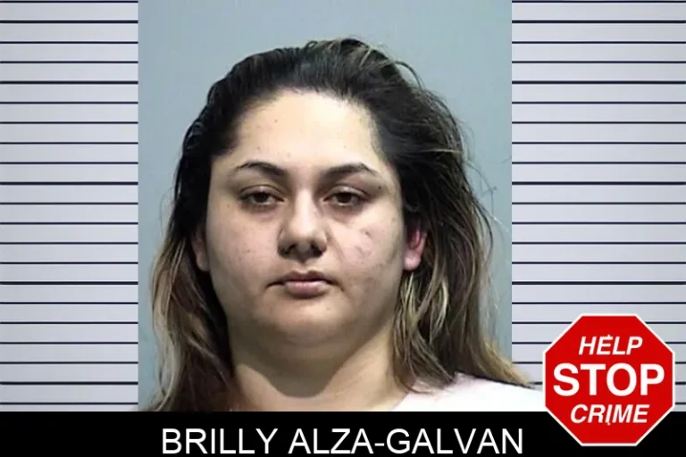Brilly Alza-Galvan mugshot – Effingham County , Georgia Brilly Alza-Galvan