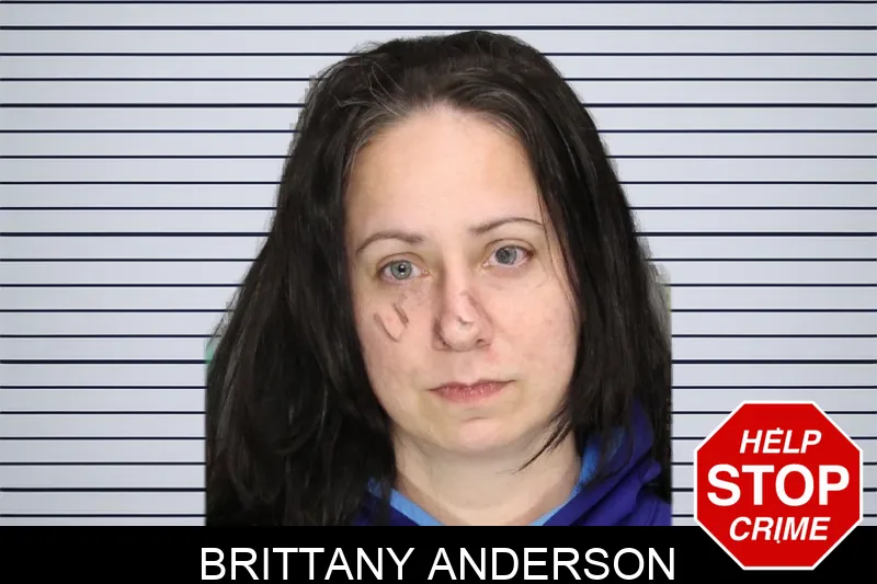 Brittany Anderson mugshot