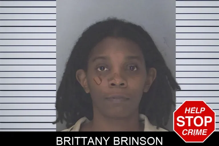 Brittany Brinson mugshot β Douglas County , Georgia Brittany Brinson