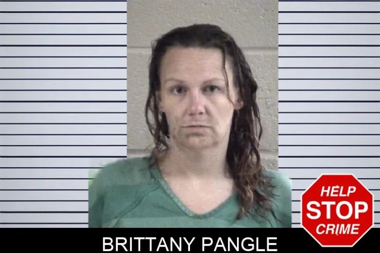 Brittany Pangle mugshot – Whitfield County , Georgia Brittany Pangle