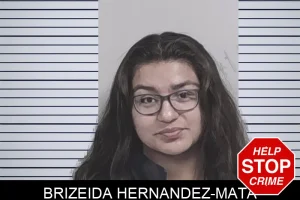 Brizeida Hernandez-Mata mugshot