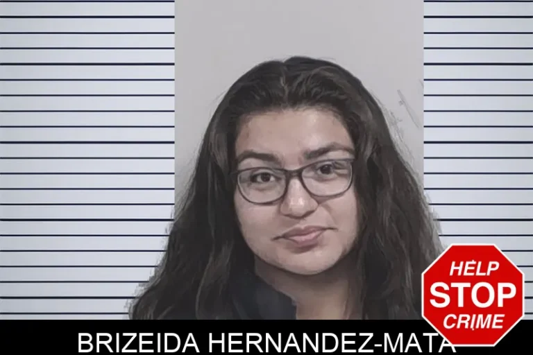 Brizeida Hernandez-Mata