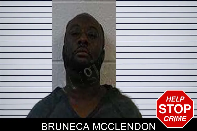 Bruneca McClendon Mugshots
