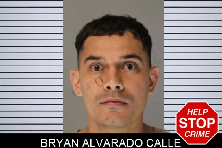 Bryan Alvarado Calle