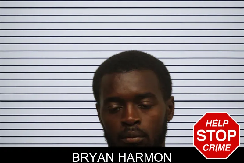 Bryan Harmon mugshot – Chatham County , Georgia Bryan Harmon mugshot
