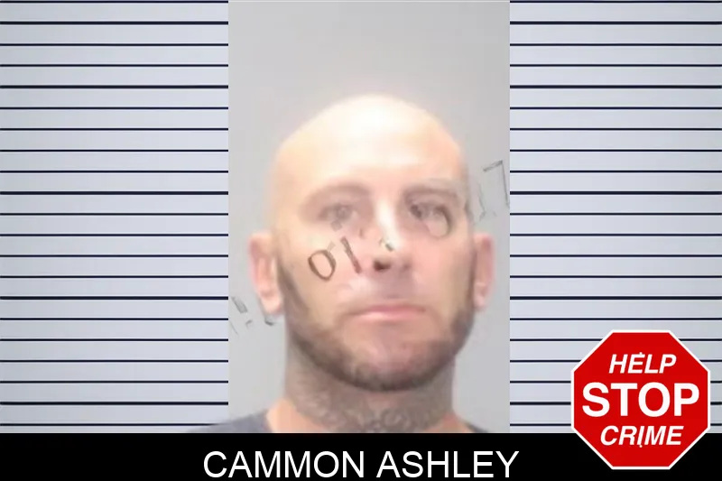 Cammon Ashley mugshot