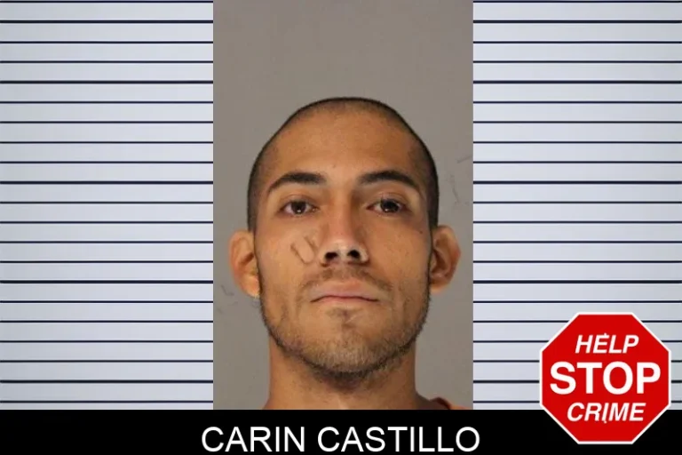 Carin Castillo mugshot – Hall County , Georgia Carin Castillo