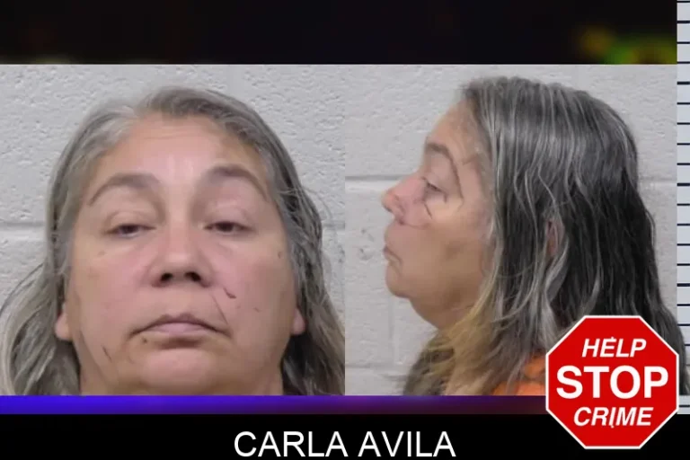 Carla Avila