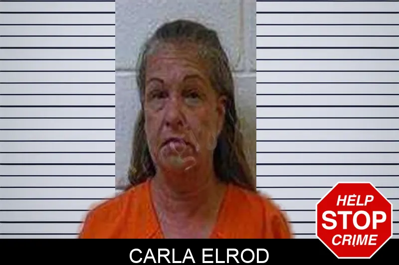 Carla Elrod Mugshots