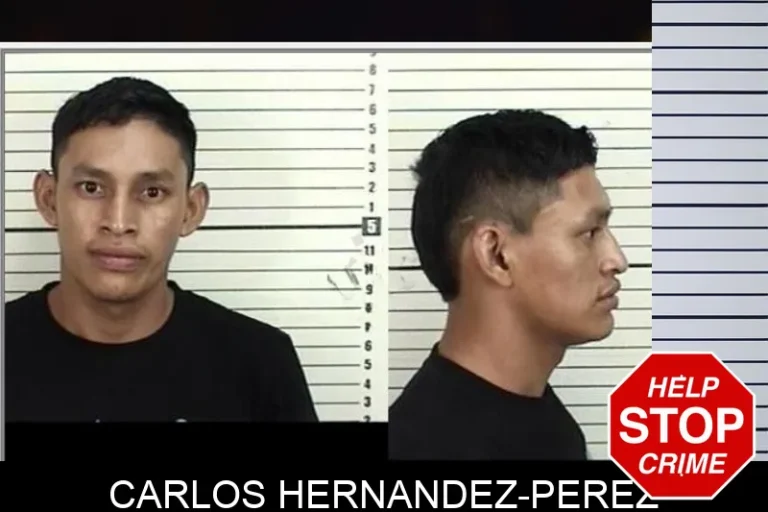 Carlos Hernandez-Perez