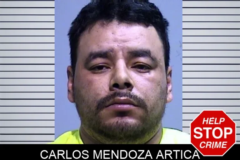 Carlos Mendoza Artica