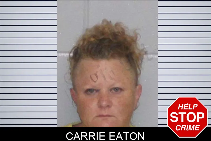 Carrie Eaton Mugshots