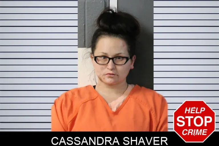 Cassandra Shaver