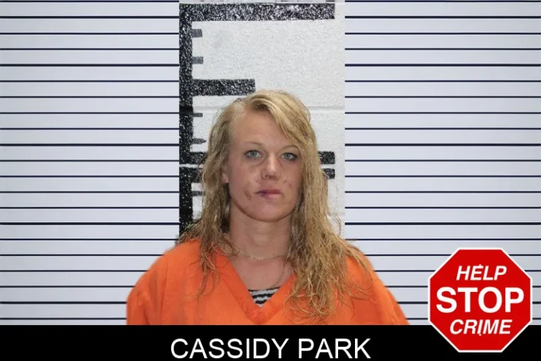 Cassidy Park mugshot – Murray County , Georgia Cassidy Park