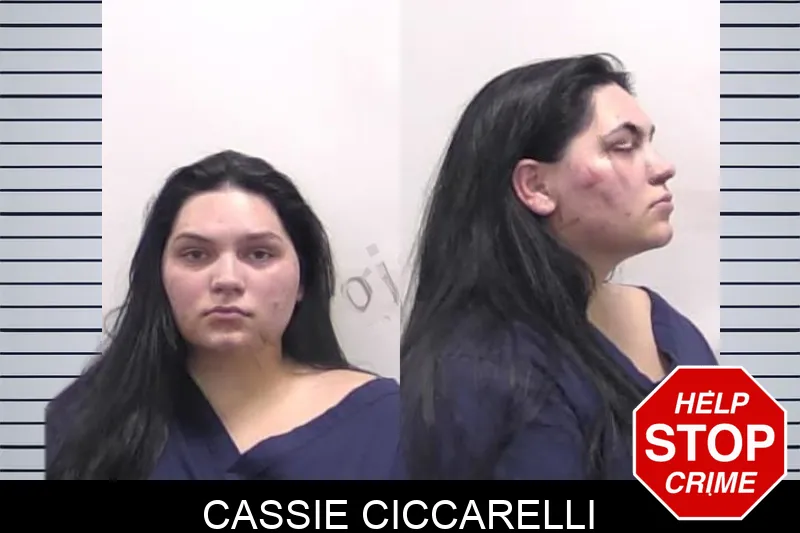 Cassie Ciccarelli Mugshots