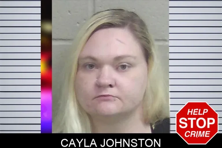 Cayla Johnston mugshot – Wayne County , Georgia Cayla Johnston