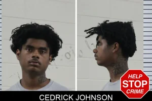 Cedrick Johnson mugshot