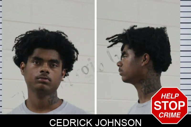 Cedrick Johnson Mugshots