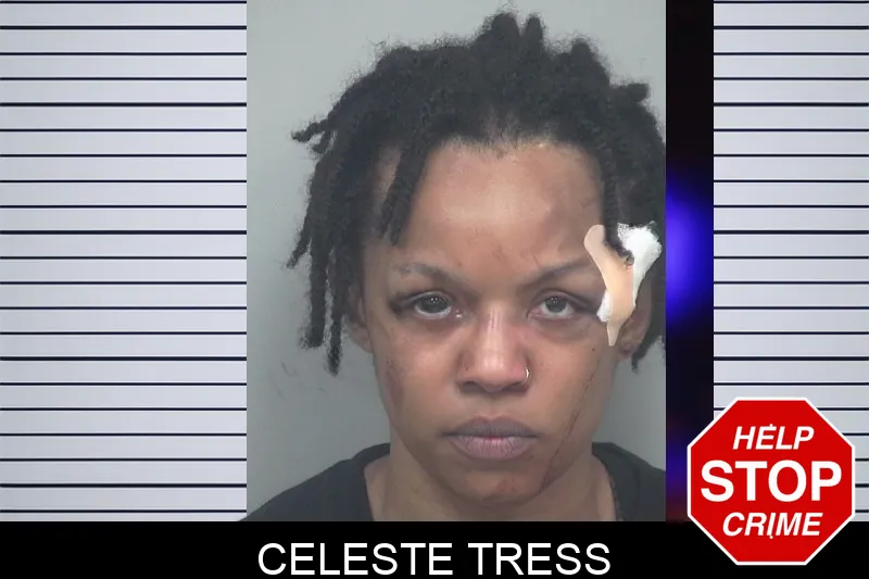 Celeste Tress mugshot