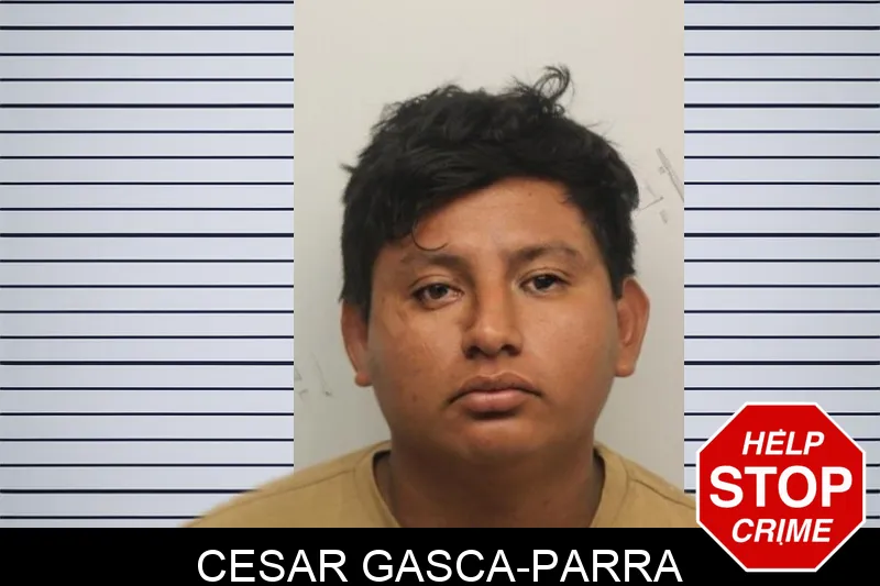 Cesar Gasca-Parra mugshot – Chatham County , Georgia Cesar Gasca-Parra mugshot