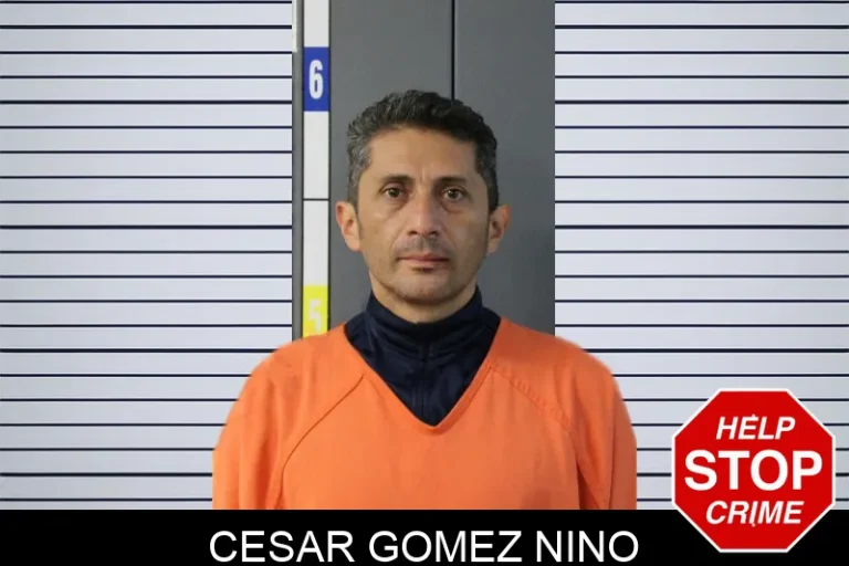 Cesar Gomez Nino