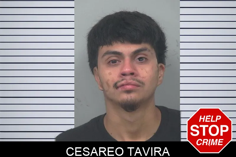 Cesareo Tavira mugshot – Gwinnett County , Georgia Cesareo Tavira mugshot