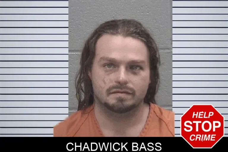 Chadwick Bass
