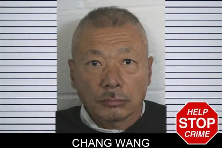 Chang Wang