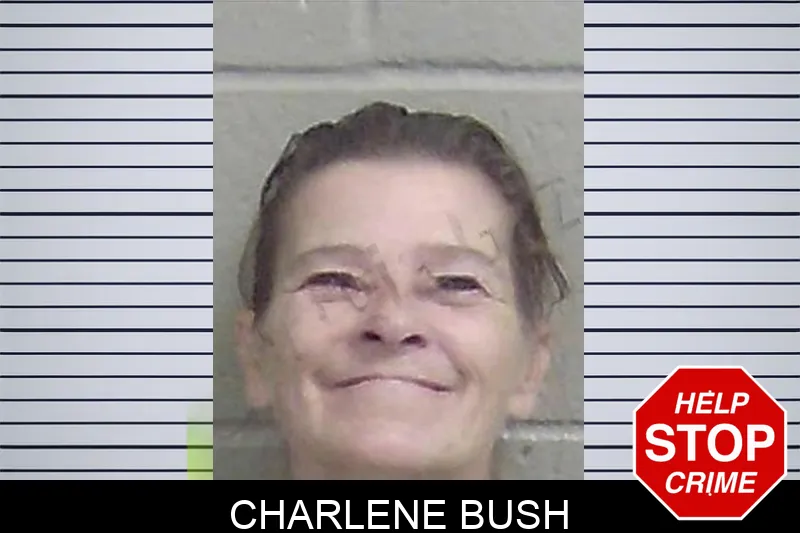 Charlene Bush Mugshots
