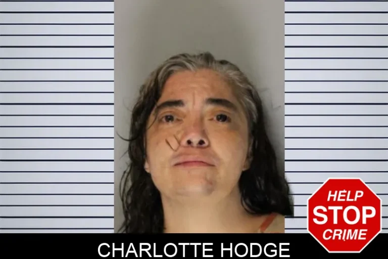 Charlotte Hodge