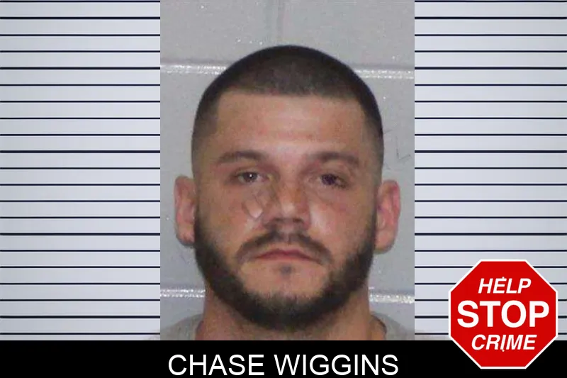 Chase Wiggins Mugshots