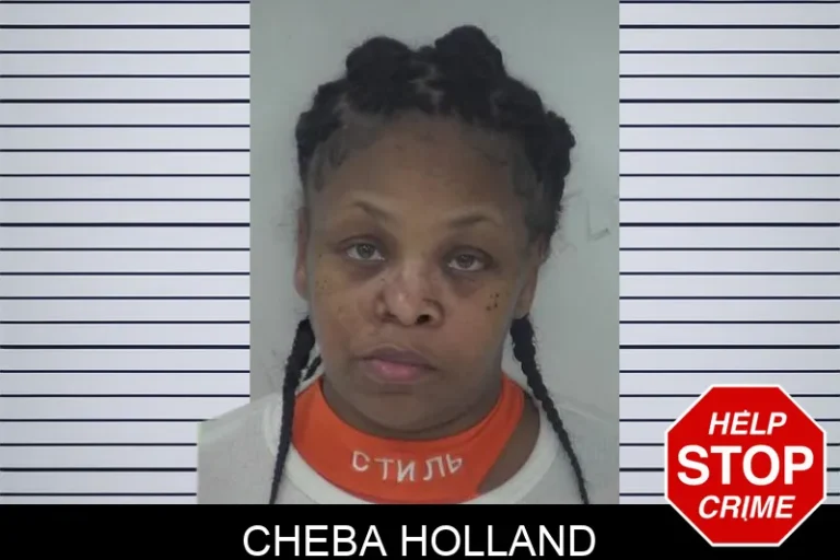 Cheba Holland mugshot – Fayette County , Georgia Cheba Holland