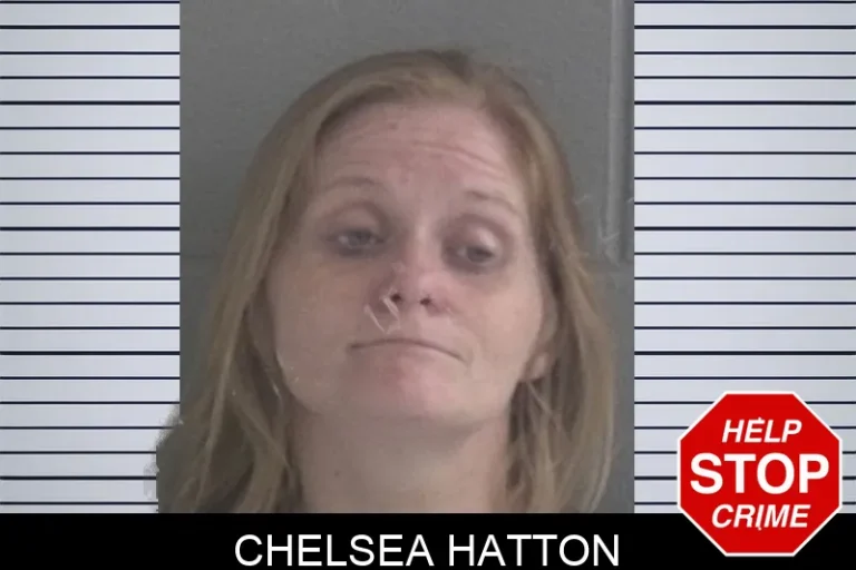 Chelsea Hatton