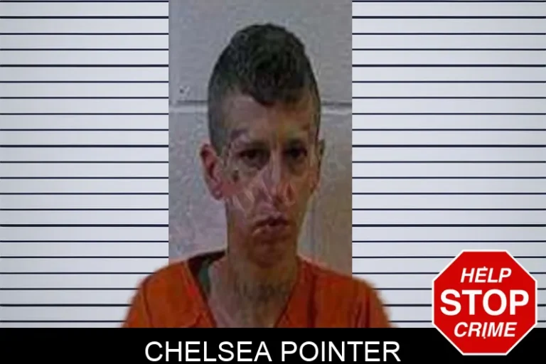 Chelsea Pointer