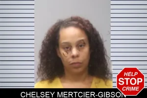 Chelsey Mertcier-Gibson mugshot