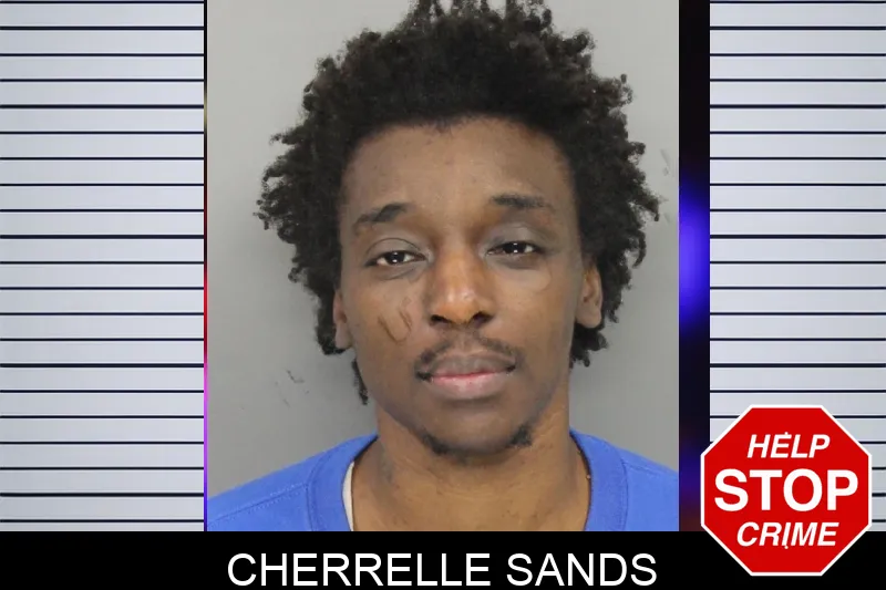Cherrelle Sands mugshot