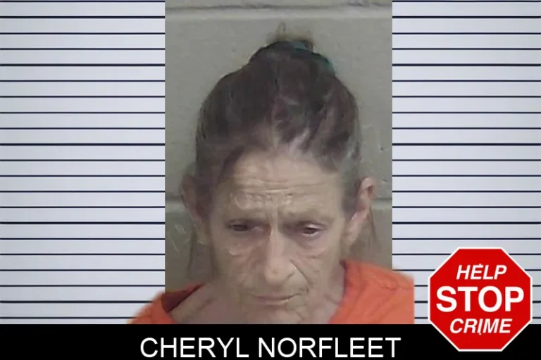 Cheryl Norfleet