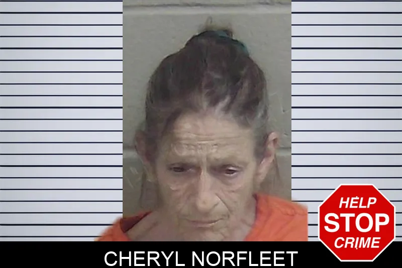 Cheryl Norfleet