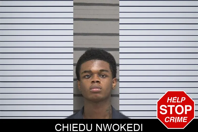 Chiedu Nwokedi mugshot